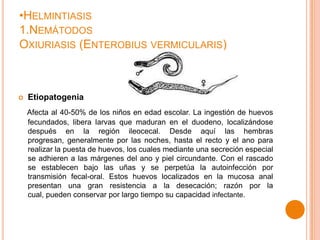 •HELMINTIASIS
1.NEMÁTODOS
OXIURIASIS (ENTEROBIUS VERMICULARIS)



Etiopatogenia
Afecta al 40-50% de los niños en edad escolar. La ingestión de huevos
fecundados, libera larvas que maduran en el duodeno, localizándose
después en la región ileocecal. Desde aquí las hembras
progresan, generalmente por las noches, hasta el recto y el ano para
realizar la puesta de huevos, los cuales mediante una secreción especial
se adhieren a las márgenes del ano y piel circundante. Con el rascado
se establecen bajo las uñas y se perpetúa la autoinfección por
transmisión fecal-oral. Estos huevos localizados en la mucosa anal
presentan una gran resistencia a la desecación; razón por la
cual, pueden conservar por largo tiempo su capacidad infectante.

 