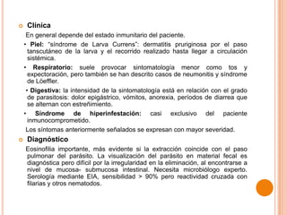 

Clínica
En general depende del estado inmunitario del paciente.
• Piel: “síndrome de Larva Currens”: dermatitis pruriginosa por el paso
tanscutáneo de la larva y el recorrido realizado hasta llegar a circulación
sistémica.
• Respiratorio: suele provocar sintomatología menor como tos y
expectoración, pero también se han descrito casos de neumonitis y síndrome
de Löeffler.
• Digestiva: la intensidad de la sintomatología está en relación con el grado
de parasitosis: dolor epigástrico, vómitos, anorexia, períodos de diarrea que
se alternan con estreñimiento.
• Síndrome de hiperinfestación: casi exclusivo del paciente
inmunocomprometido.
Los síntomas anteriormente señalados se expresan con mayor severidad.



Diagnóstico
Eosinofilia importante, más evidente si la extracción coincide con el paso
pulmonar del parásito. La visualización del parásito en material fecal es
diagnóstica pero difícil por la irregularidad en la eliminación, al encontrarse a
nivel de mucosa- submucosa intestinal. Necesita microbiólogo experto.
Serología mediante EIA, sensibilidad > 90% pero reactividad cruzada con
filarias y otros nematodos.

 