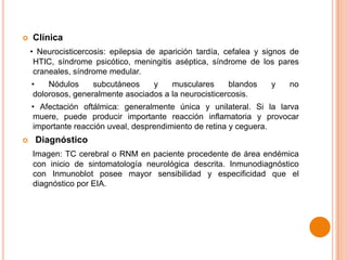 

Clínica
• Neurocisticercosis: epilepsia de aparición tardía, cefalea y signos de
HTIC, síndrome psicótico, meningitis aséptica, síndrome de los pares
craneales, síndrome medular.

•
Nódulos
subcutáneos
y
musculares
blandos
dolorosos, generalmente asociados a la neurocisticercosis.

y

no

• Afectación oftálmica: generalmente única y unilateral. Si la larva
muere, puede producir importante reacción inflamatoria y provocar
importante reacción uveal, desprendimiento de retina y ceguera.


Diagnóstico
Imagen: TC cerebral o RNM en paciente procedente de área endémica
con inicio de sintomatología neurológica descrita. Inmunodiagnóstico
con Inmunoblot posee mayor sensibilidad y especificidad que el
diagnóstico por EIA.

 