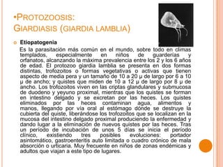 •PROTOZOOSIS:
GIARDIASIS (GIARDIA LAMBLIA)


Etiopatogenia
Es la parasitación más común en el mundo, sobre todo en climas
templados,
especialmente
en
niños
de
guarderías
y
orfanatos, alcanzando la máxima prevalencia entre los 2 y los 6 años
de edad. El protozoo giardia lamblia se presenta en dos formas
distintas, trofozoitos o formas vegetativas o activas que tienen
aspecto de media pera y un tamaño de 10 a 20 μ de largo por 6 a 10
μ de ancho; y quistes que miden de 10 a 12 μ de largo por 8 μ de
ancho. Los trofozoitos viven en las criptas glandulares y submucosa
de duodeno y yeyuno proximal, mientras que los quistes se forman
en intestino delgado y se excretan por las heces. Los quistes
eliminados por las heces contaminan agua, alimentos y
manos, llegando por vía oral al estómago dónde se destruye la
cubierta del quiste, liberándose los trofozoitos que se localizan en la
mucosa del intestino delgado proximal produciendo la enfermedad y
dando lugar a la eliminación de nuevos quistes por las heces. Tras
un período de incubación de unos 5 días se inicia el período
clínico,
existiendo
tres
posibles
evoluciones:
portador
asintomático, gastroenteritis auto limitada o cuadro crónico de mala
absorción o urticaria. Muy frecuente en niños de zonas endémicas y
adultos que viajan a este tipo de lugares.

 