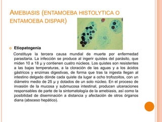 AMEBIASIS (ENTAMOEBA HISTOLYTICA O
ENTAMOEBA DISPAR)



Etiopatogenia
Constituye la tercera causa mundial de muerte por enfermedad
parasitaria. La infección se produce al ingerir quistes del parásito, que
miden 10 a 18 μ y contienen cuatro núcleos. Los quistes son resistentes
a las bajas temperaturas, a la cloración de las aguas y a los ácidos
gástricos y enzimas digestivas, de forma que tras la ingesta llegan al
intestino delgado dónde cada quiste da lugar a ocho trofozoitos, con un
diámetro medio de 25 μ y dotados de un solo núcleo. En el proceso de
invasión de la mucosa y submucosa intestinal, producen ulceraciones
responsables de parte de la sintomatología de la amebiasis, así como la
posibilidad de diseminación a distancia y afectación de otros órganos
diana (absceso hepático).

 