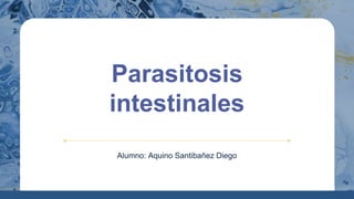 Parasitosis
intestinales
Alumno: Aquino Santibañez Diego
 
