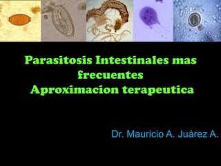 Parasitosis Intestinales mas
frecuentes
Aproximacion terapeutica
Dr. Mauricio A. Juárez A.
 