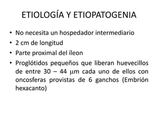 ETIOLOGÍA Y ETIOPATOGENIA
• No necesita un hospedador intermediario
• 2 cm de longitud
• Parte proximal del íleon
• Proglótidos pequeños que liberan huevecillos
de entre 30 – 44 mm cada uno de ellos con
oncosferas provistas de 6 ganchos (Embrión
hexacanto)
 