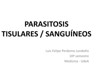 PARASITOSIS TISULARES / SANGUÍNEOS Luis Felipe Perdomo Londoño 10º semestre Medicina - UdeA 