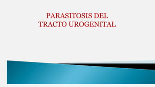 PARASITOSIS DEL
TRACTO UROGENITAL
 