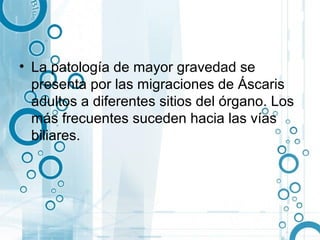 • La patología de mayor gravedad se
  presenta por las migraciones de Áscaris
  adultos a diferentes sitios del órgano. Los
  más frecuentes suceden hacia las vías
  biliares.
 