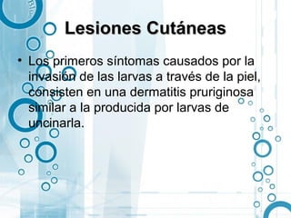 Lesiones Cutáneas
• Los primeros síntomas causados por la
  invasión de las larvas a través de la piel,
  consisten en una dermatitis pruriginosa
  similar a la producida por larvas de
  uncinarla.
 