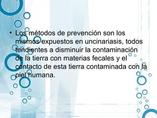 • Los métodos de prevención son los
  mismos expuestos en uncinariasis, todos
  tendientes a disminuir la contaminación
  de la tierra con materias fecales y el
  contacto de esta tierra contaminada con la
  piel humana.
 