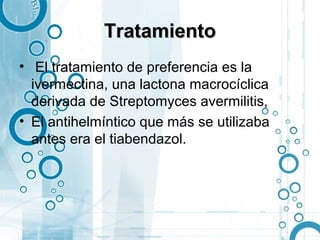 Tratamiento
• El tratamiento de preferencia es la
  ivermectina, una lactona macrocíclica
  derivada de Streptomyces avermilitis,
• El antihelmíntico que más se utilizaba
  antes era el tiabendazol.
 