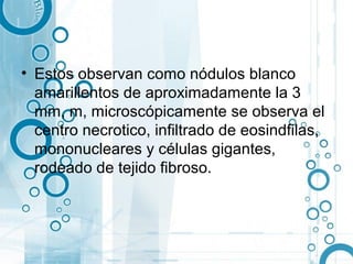 • Estos observan como nódulos blanco
  amarillentos de aproximadamente la 3
  mm, m, microscópicamente se observa el
  centro necrotico, infiltrado de eosindfilas,
  mononucleares y células gigantes,
  rodeado de tejido fibroso.
 