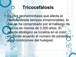 Tricocefalosis
• Es otra geohelmintiasis que afecta al
  hombre desde tiempos inmemorables, lo
  que se ha comprobado por el hallazgo de
  huevos en momia de 3,300 años. El
  agente etiológico se localiza en el color,
  en donde acuerdo al numero de parasito y
  a las condiciones del huésped.
 