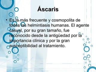 Áscaris
• Es la más frecuente y cosmopolita de
  todas las helmintiasis humanas. El agente
  casual, por su gran tamaño, fue
  reconocido desde la antigüedad por la
  importancia clínica y por la gran
  susceptibilidad al tratamiento.
 