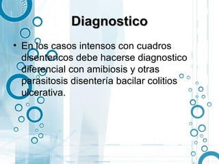 Diagnostico
• En los casos intensos con cuadros
  disentericos debe hacerse diagnostico
  diferencial con amibiosis y otras
  parasitosis disentería bacilar colitios
  ulcerativa.
 