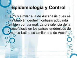Epidemiologia y Control
• Es muy similar a la de Ascariasis pues es
  una también geohelmiontiasis adquirida
  también por vía oral. La prevalencia de la
  tricocefalosis en los países endémicos de
  America Latina es similar a la de Áscaris.
 