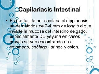 Capilariasis Intestinal
• Es producida por capilaria philippinensis
  un nematodos de 2-4 mm de longitud que
  invade la mucosa del intestino delgado,
  especialmente DD yeyuna en casos
  graves se van encontrando en el
  estomago, esófago, laringe y colon.
 