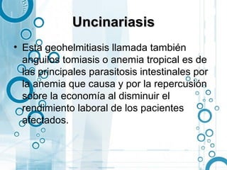 Uncinariasis
• Esta geohelmitiasis llamada también
  anguilos tomiasis o anemia tropical es de
  las principales parasitosis intestinales por
  la anemia que causa y por la repercusión
  sobre la economía al disminuir el
  rendimiento laboral de los pacientes
  afectados.
 