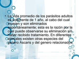 • La vida promedio de los parásitos adultos
  es solamente de 1 año, al cabo del cual
  mueren y son eliminados
  espontáneamente; esta es la razón por la
  cual puede observarse su eliminación sin
  haber recibido tratamiento. En diferentes
  animales existen otras especies del
  genero Áscaris y del genero relacionados.
 