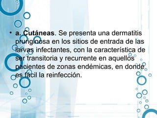 • a. Cutáneas. Se presenta una dermatitis
  pruriginosa en los sitios de entrada de las
  larvas infectantes, con la característica de
  ser transitoria y recurrente en aquellos
  pacientes de zonas endémicas, en donde
  es fácil la reinfección.
 