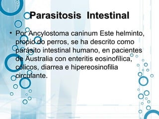 Parasitosis Intestinal
• Por Ancylostoma caninum Este helminto,
  propio do perros, se ha descrito como
  parásito intestinal humano, en pacientes
  de Australia con enteritis eosinofílica,
  cólicos, diarrea e hipereosinofilia
  circulante.
 