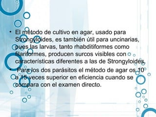 • El método de cultivo en agar, usado para
  Strongyloides, es también útil para uncinarias,
  pues las larvas, tanto rhabditiformes como
  filariformes, producen surcos visibles con
  características diferentes a las de Strongyloides.
• Para los dos parásitos el método de agar os 10
  a 15 veces superior en eficiencia cuando se
  compara con el examen directo.
 