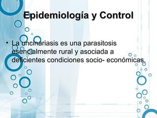 Epidemiología y Control

• La uncinariasis es una parasitosis
  esencialmente rural y asociada a
  deficientes condiciones socio- económicas.
 