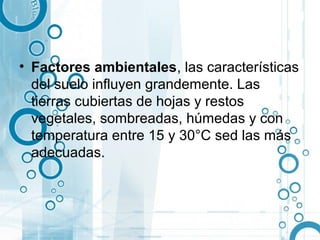 • Factores ambientales, las características
  del suelo influyen grandemente. Las
  tierras cubiertas de hojas y restos
  vegetales, sombreadas, húmedas y con
  temperatura entre 15 y 30°C sed las más
  adecuadas.
 