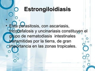 Estrongiloidiasis
•
• Esta parasitosis, con ascariasis,
  tricocefalosis y uncinariasis constituyen el
  grupo de nematodiasis intestinales
  transmitidas por la tierra, de gran
  importancia en las zonas tropicales.
 