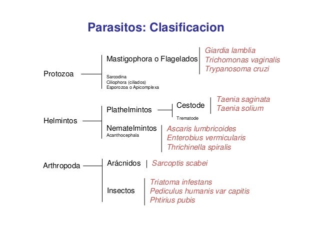 La limpieza de los parásitos por la miel