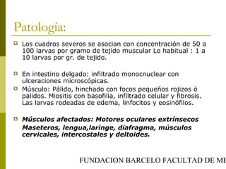 FUNDACION BARCELO FACULTAD DE ME
Patología:
 Los cuadros severos se asocian con concentración de 50 a
100 larvas por gramo de tejido muscular Lo habitual : 1 a
10 larvas por gr. de tejido.
 En intestino delgado: infiltrado monocnuclear con
ulceraciones microscópicas.
 Músculo: Pálido, hinchado con focos pequeños rojizos ó
palidos. Miositis con basofilia, infiltrado celular y fibrosis.
Las larvas rodeadas de edema, linfocitos y eosinófilos.
 Músculos afectados: Motores oculares extrínsecos
Maseteros, lengua,laringe, diafragma, músculos
cervicales, intercostales y deltoides.
 
