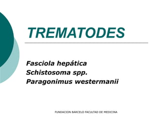 FUNDACION BARCELO FACULTAD DE MEDICINA
TREMATODES
Fasciola hepática
Schistosoma spp.
Paragonimus westermanii
 