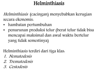Helminthiasis 
Helminthiasis (cacingan) menyebabkan kerugian 
secara ekonomis: 
• hambatan pertumbuhan 
• penurunan produksi telur (berat telur tidak bisa 
mencapai maksimal dan awal waktu bertelur 
yang tidak semestinya) 
Helminthiasis terdiri dari tiga klas: 
1. Nematodosis 
2. Trematodosis 
3. Cestodosis 
 