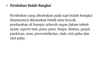 • Perubahan Bedah Bangkai 
Perubahan yang ditemukan pada saat bedah bangkai 
diantaranya ditemukan bintik atau bercak 
perdarahan di hampir seluruh organ dalam tubuh 
ayam, seperti hati, paru-paru, limpa, thimus, ginjal, 
pankreas, usus, proventrikulus, otak, otot paha dan 
otot paha. 
 