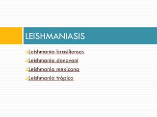 Leishmania brasilienses
Leishmania donovani
Leishmania mexicana
Leishmania trópica
LEISHMANIASIS
 