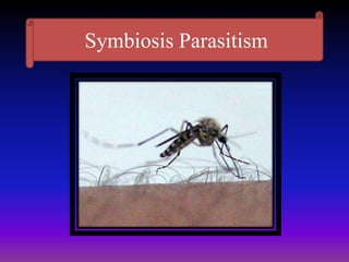 Symbiosis Parasitism
 