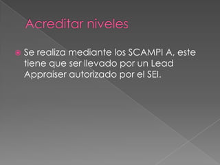 IBM Global ServicesÁreas de proceso, niveles de madures y de capacidad