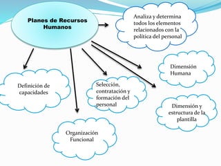Planes de Recursos 
Humanos 
Analiza y determina 
todos los elementos 
relacionados con la 
política del personal 
Definición de 
capacidades 
Organización 
Funcional 
Dimensión y 
estructura de la 
plantilla 
Selección, 
contratación y 
formación del 
personal 
Dimensión 
Humana 
 