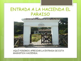 ENTRADA A LA HACIENDA EL
PARAISO
 AQUÍ PODEMOS APRESIAR LA ENTRADA DE ESTA
MAGNIFICA HACIENDA.
 