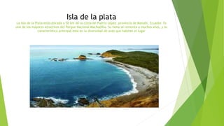 Isla de la plata
La Isla de la Plata está ubicada a 50 km de la costa de Puerto López, provincia de Manabí, Ecuador. Es
uno de los mayores atractivos del Parque Nacional Machadilla. Su fama se remonta a muchos años, y su
característica principal está en la diversidad de aves que habitan el lugar
 