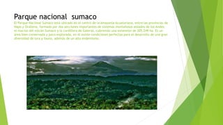 Parque nacional sumaco
El Parque Nacional Sumaco está ubicado en el centro de la Amazonía Acuatoriana, entre las provincias de
Napo y Orallena, formado por dos secciones importantes de sistemas montañosos aislados de los Andes:
el macizo del volcán Sumaco y la cordillera de Galeras, cubriendo una extensión de 205.249 ha. Es un
área bien conservada y poco explorada, en él existe condiciones perfectas para el desarrollo de una gran
diversidad de lora y fauna, además de un alto endemismo.
 