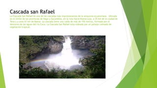 Cascada san Rafael
La Cascada San Rafael es una de las cascadas más impresionantes de la amazonia ecuatoriana. Ubicada
en el límite de las provincias de Napo y Sucumbíos, en la ruta hacia Nueva Loja, a 25 km de la ciudad de
Tena y a unos 61 km de Baeza. La cascada tiene una caída de más de 150 metros, formada por el
descenso de las aguas del río Coca. La Cascada San Rafael esta rodeada por un paisaje colmado de
vegetación tropical.
 