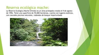 Reserva ecológica mache:
La Reserva Ecológica Mache-Chindul es un área protegida creada el 9 de agosto
de 1996. Tiene una superficie de 70,000 hectáreas, cuenta con lugares exóticos,
con cascadas piscinas naturales, rodeadas de bosque imperturbado
 