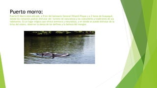 Puerto morro:
Puerto El Morro está ubicado a 9 km del balneario General Villamil-Playas y a 2 horas de Guayaquil,
donde los visitantes podrán disfrutar del turismo de naturaleza y las costumbres y tradiciones de sus
habitantes. Es un lugar mágico que ofrece aventura y naturaleza, y en donde se puede disfrutar de la
brisa del estero, observar la danza de los delfines y la belleza del manglar.
 