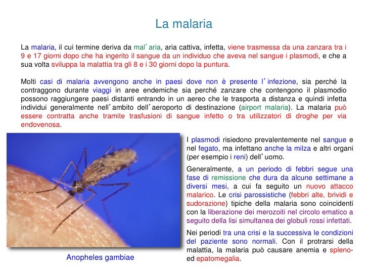 Prevenzione di helminths e pianificazione di gravidanza