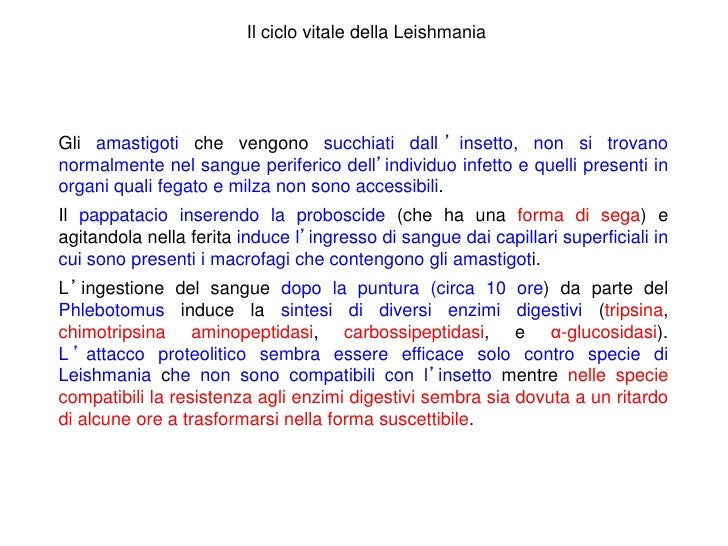 Come prendere unanalisi del sangue su vermi al bambino