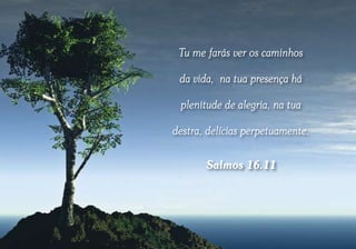 Tu me farás ver os caminhos

 da vida, na tua presença há

 plenitude de alegria, na tua

destra, delícias perpetuamente.


       Salmos 16.11
 