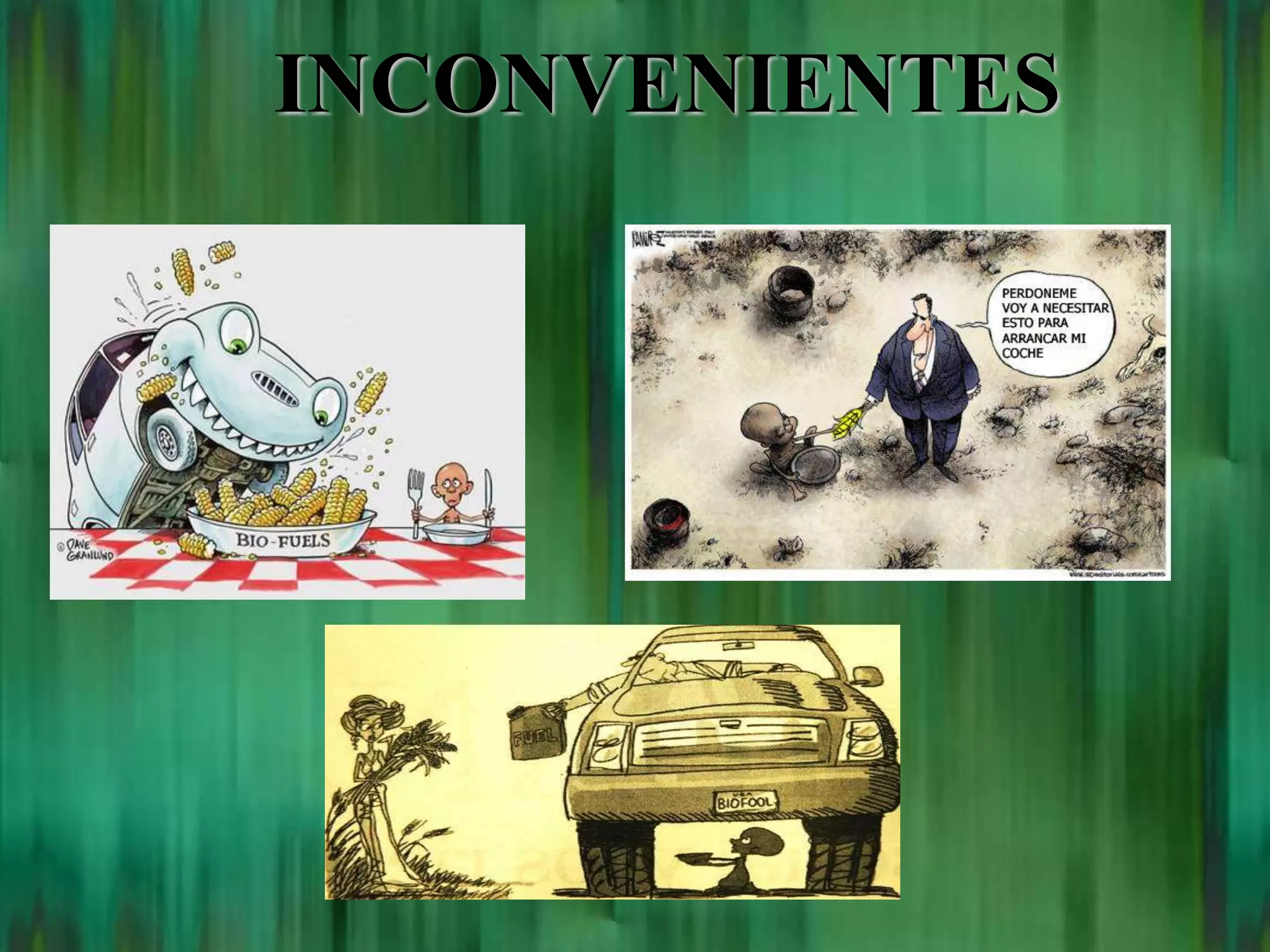 Power point Biocobustibles