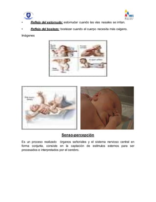 • Reflejo del estornudo: estornudar cuando las vías nasales se irritan.
• Reflejo del bostezo: bostezar cuando el cuerpo necesita más oxígeno.
Imágenes
Senso-percepción
Es un proceso realizado órganos señoriales y el sistema nervioso central en
forma conjunta, consiste en la captación de estímulos externos para ser
procesados e interpretados por el cerebro.
 