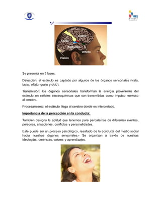 Se presenta en 3 fases:
Detección: el estímulo es captado por algunos de los órganos sensoriales (vista,
tacto, olfato, gusto y oído).
Transmisión: los órganos sensoriales transforman la energía proveniente del
estímulo en señales electroquímicas que son transmitidas como impulso nervioso
al cerebro.
Procesamiento: el estímulo llega al cerebro donde es interpretado.
Importancia de la percepción en la conducta:
También designa la aptitud que tenemos para percatarnos de diferentes eventos,
personas, situaciones, conflictos y personalidades.
Este puede ser un proceso psicológico, resultado de la conducta del medio social
hacia nuestros órganos sensoriales.- Se organizan a través de nuestras
ideologías, creencias, valores y aprendizajes.
 