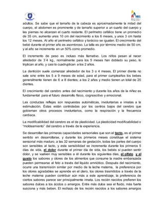 adultos. Se sabe que el tamaño de la cabeza es aproximadamente la mitad del
cuerpo, el abdomen es prominente y de tamaño superior a un cuarto del cuerpo y
las piernas no alcanzan el cuarto restante. El perímetro cefálico tiene un promedio
de 35 cm, aumenta unos 10 cm del nacimiento a los 6 meses, y unos 3 cm hasta
los 12 meses. Al año el perímetro cefálico y torácico se igualan. El crecimiento del
bebé durante el primer año es asombroso. La talla es por término medio de 50 cm,
y al año se incrementa en un 50% como promedio.
El incremento de peso es incluso más llamativo. Los niños pesan al nacer
alrededor de 3´4 kg., normalmente para los 5 meses han doblado su peso, lo
triplican al año, y casi lo cuadruplican a los 2 años.
La dentición suele comenzar alrededor de los 3 o 4 meses. El primer diente no
sale sino entre los 5 a 9 meses de edad, para el primer cumpleaños los bebes
generalmente tienen de 6 a 8 dientes; a los 2 años y medio tienen un total de 20
dientes.
El crecimiento del cerebro antes del nacimiento y durante los años de la niñez es
fundamental para el futuro desarrollo físico, cognoscitivo y emocional.
Las conductas reflejas son respuestas automáticas, involuntarias e innatas a la
estimulación. Éstas están controladas por los centros bajos del cerebro que
gobiernan otros procesos involuntarios, como la respiración y la frecuencia
cardiaca.
La modificabilidad del cerebro es el de plasticidad. La plasticidad modificabilidad o
“moldeamiento” del cerebro a través de la experiencia.
Se desarrollan las primeras capacidades sensoriales que son el tacto, es el primer
sentido en desarrollarse, y durante los primeros meses constituye el sistema
sensorial más maduro, a las 32 semanas de gestación, todas las partes del cuerpo
son sensibles al tacto, y esta sensibilidad se incrementa durante los primeros 5
días de vida, el dolor durante el primer día de vida, los bebés sí pueden sentir
dolor, y se vuelven muy sensibles a él durante los siguientes días, el olfato y el
gusto los sabores y olores de los alimentos que consume la madre embarazada
pueden permearse al feto a través del líquido amniótico. Después del nacimiento,
ocurre una transmisión similar por medio de la leche materna, la preferencia por
los olores agradables se aprende en el útero, los olores trasmitidos a través de la
leche materna pueden contribuir aún más a este aprendizaje, la preferencia de
ciertos sabores parece ser principalmente innata. Los recién nacidos prefieren los
sabores dulces a los ácidos o amargos. Entre más dulce sea el fluido, más fuerte
succiona y más beben. El rechazo de los recién nacidos a los sabores amargos
 